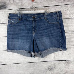 Lane Bryant Distressed Denim Short Shorts Sz 22